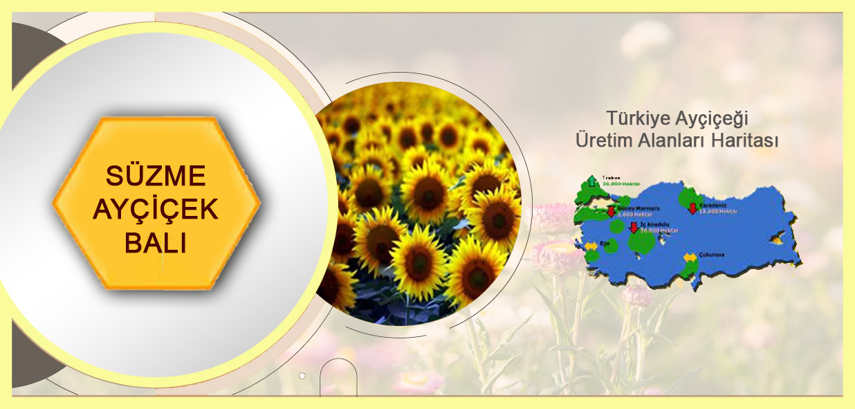 Süzme-Ayçiçek-Balı