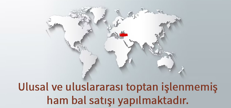 bal-satışı1