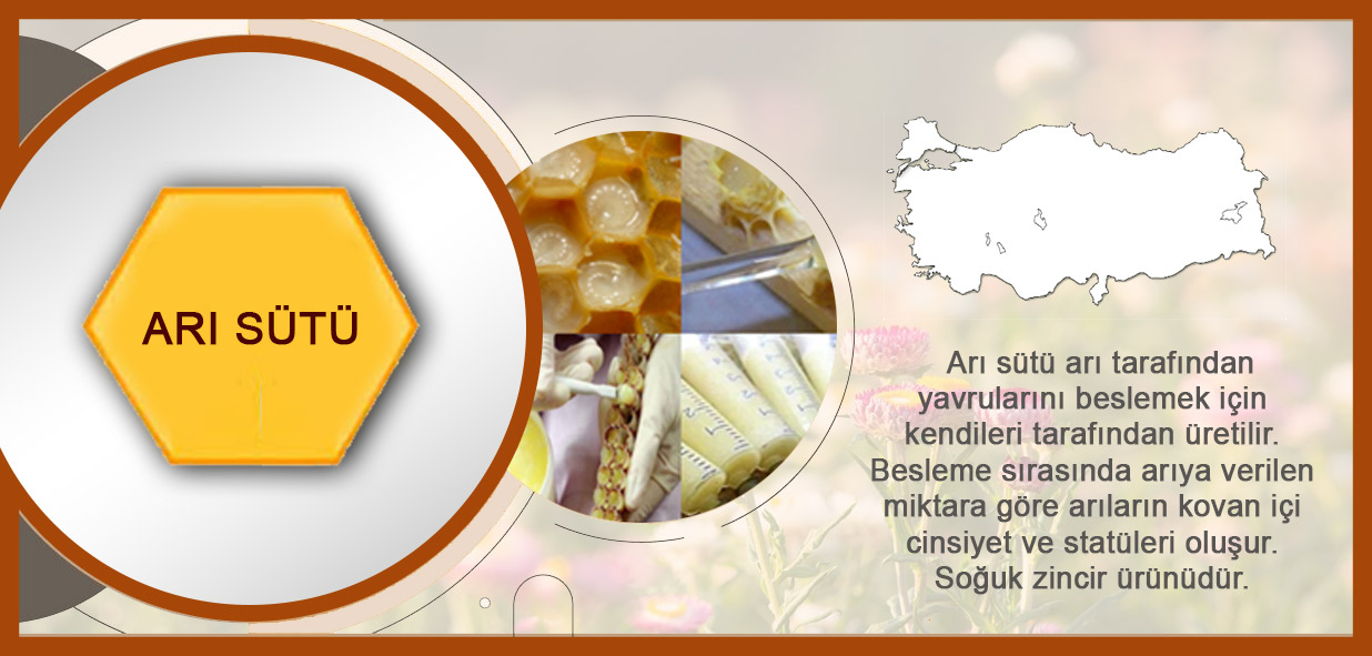 ürün_arısütü