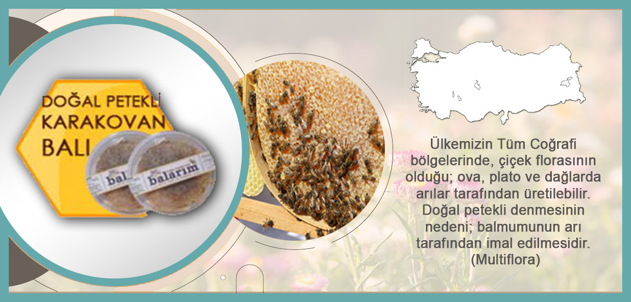ürün_doğal-petekli-karakovan-balı