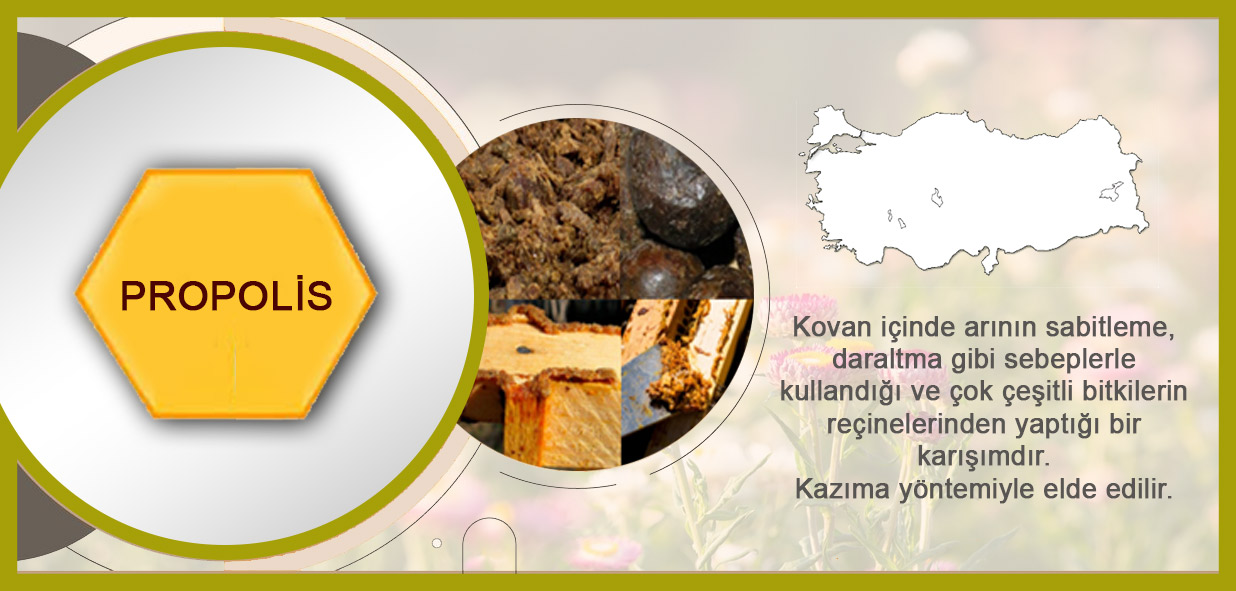 ürün_propolis