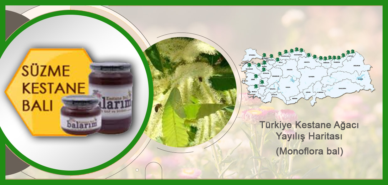 ürün_süzme-kestane-balı