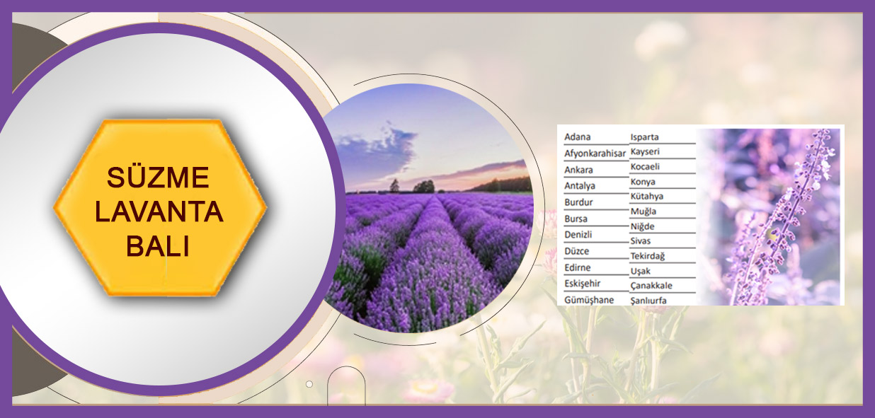 ürün_süzme-lavanta-balı